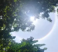 琂?E朞轷?;涏-九游娱乐网站