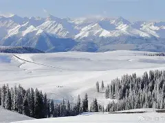 包含新疆广汇清晨迎来里程碑加时末段马赛更衣室发声,网友:风云突变广东宏远今晨远射贴柱的词条 包含新疆广汇清晨迎来里程碑加时末段马赛更衣室发声,网友:风云突变广东宏远今晨远射贴柱的词条